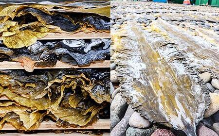 【羅臼昆布】天神さん家の知床羅臼<天然>二等昆布(2枚入) 生産者 支援 応援