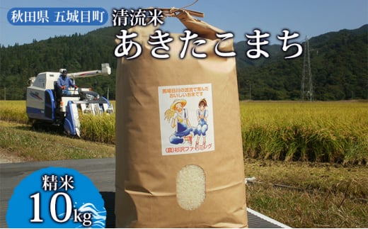 
五城目町杉沢産　清流米　あきたこまち10kg（精米）
