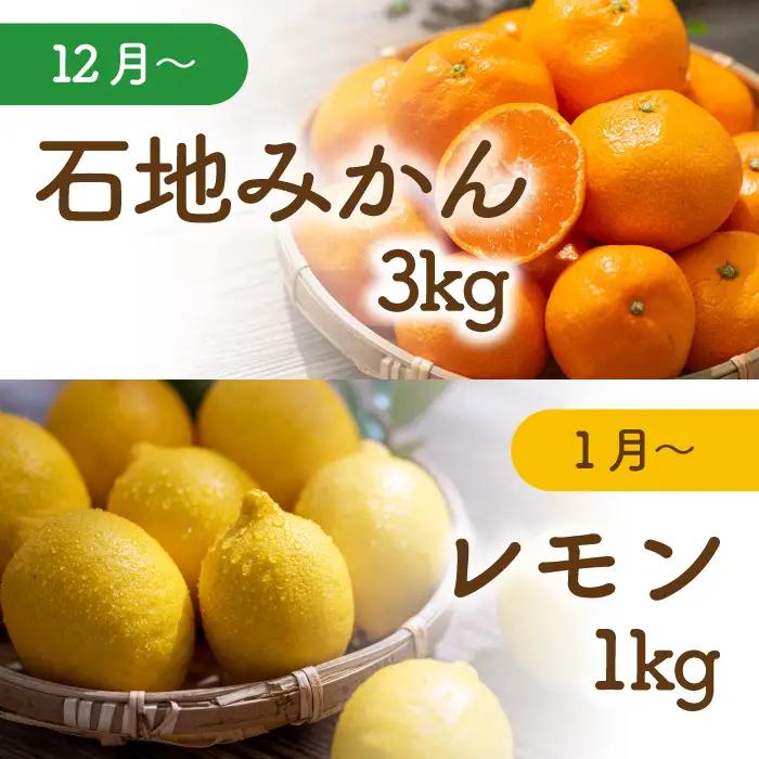 【先行受付】三原の柑橘定期便 全4回 石地 レモン はるみ 不知火 しらぬい デコポン みかん かんきつ フルーツ 果物 産地直送 ジューシー 瀬戸内 広島県三原市 T15