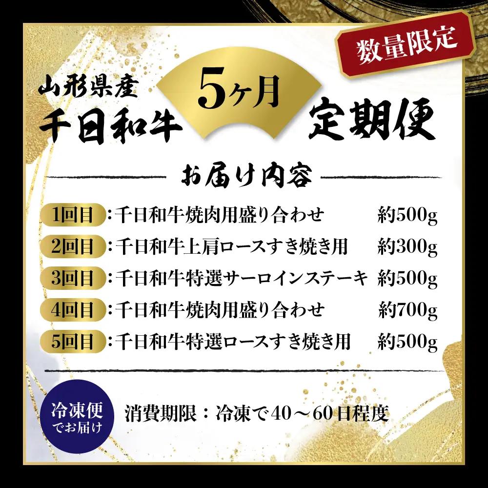 定期便 5ヶ月 千日和牛 幻の山形牛 極上和牛 山形牛 定期便