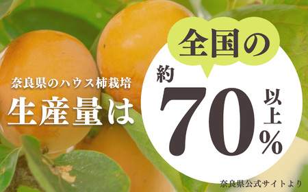 ハウス柿（ Ｍサイズ 12個入 ）| フルーツ 果物 くだもの 柿 刀根柿 ハウス 奈良県 五條市 JA