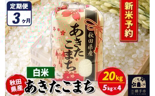 《令和7年産 新米受付》《定期便3ヶ月》あきたこまち 20kg（5kg×4袋）【白米】秋田県産 こまちライン