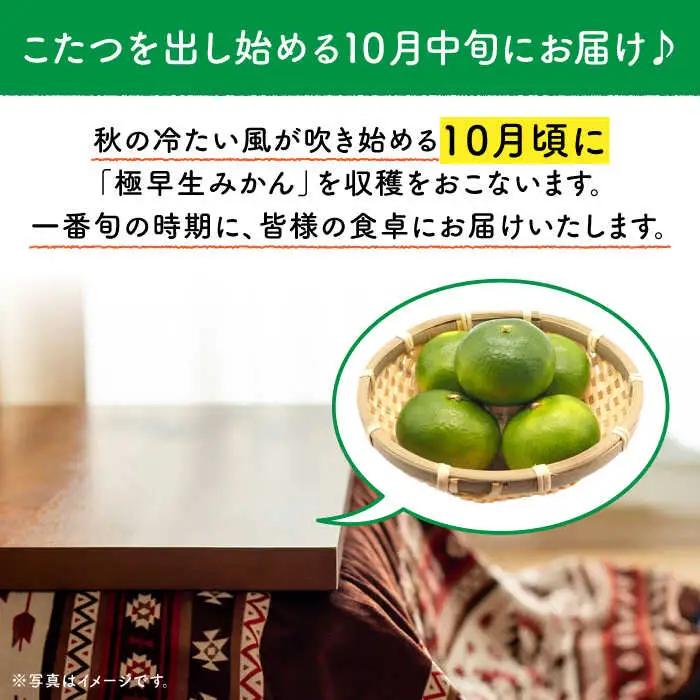 極早生 みかん 5kg [OCW001] ミカン