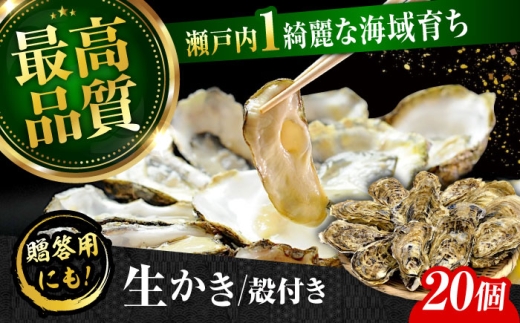 【生牡蠣】かなわの生牡蠣 殻付き 20個入り 江田島市／株式会社かなわ [XBP008]｜生牡蠣 牡蠣 生食 殻付き 殻付 殻 かき カキ 生牡蠣 広島牡蠣 オイスター牡蠣グラタン 魚介類 魚介 貝類 海鮮 広島県産 国産 産地直送 贈答 ギフト 特産品