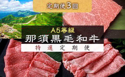 
《定期便3回》A5等級 那須黒毛和牛 特選定期便 ステーキ 焼肉セット カルビ もも肩肉 すき焼きしゃぶしゃぶ グルメ 焼肉 国産 定期 高級 栃木県那須町〔G-28〕 ※着日指定不可
