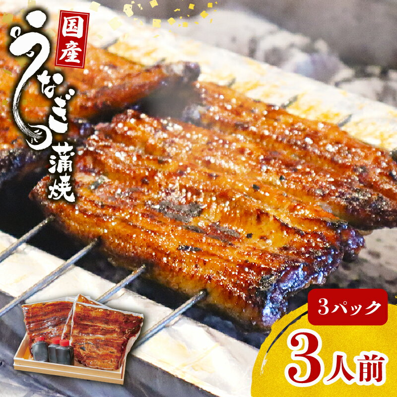 【ふるさと納税】 鰻蒲焼 3人前 秘伝のタレ 手焼き 真空パック うなぎ 土用丑の日 晩ごはん 家族 惣菜 国産 蒲焼き ウナギ 老舗 グルメ 贈り物 ギフト 夏バテ対策 スタミナ料理 うな重 うな丼 鰻重 うなぎの蒲焼 富士山湧水 三島市 静岡県