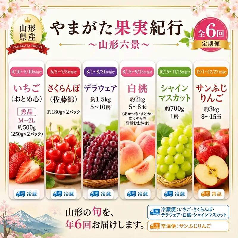 【定期便6回】やまがた果実紀行 山形六景 FY26-181