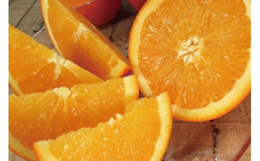 ネーブル 約7kg/サイズおまかせ　※2026年1月中旬～2月中旬頃に順次発送予定(お届け日指定不可)　紀伊国屋文左衛門本舗　【sutb430B】