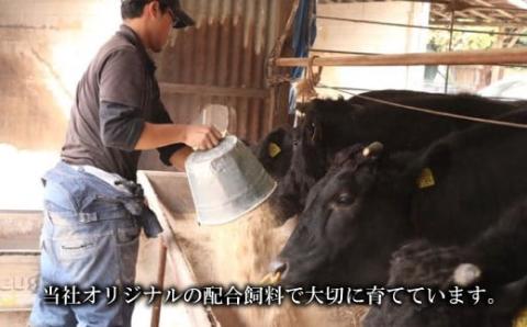 訳アリ　手切りのためサイズ不揃い　大阪産 和牛 なにわ黒牛 肩ロース サイコロ ステーキ（約250g×2パック）