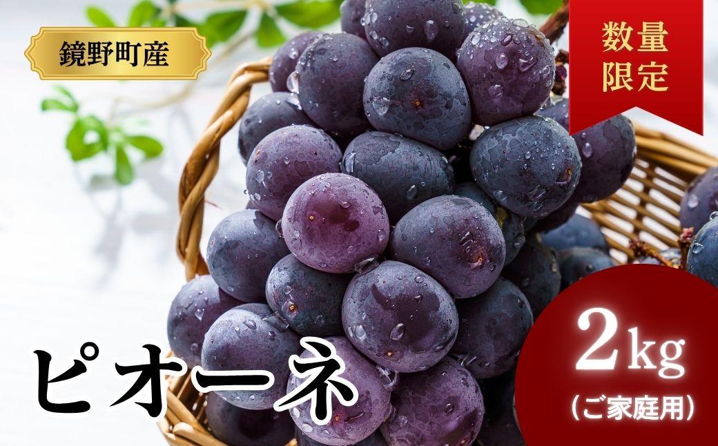 【期間限定】鏡野町産 ピオーネ 2kg（ご家庭用）【004-a029】