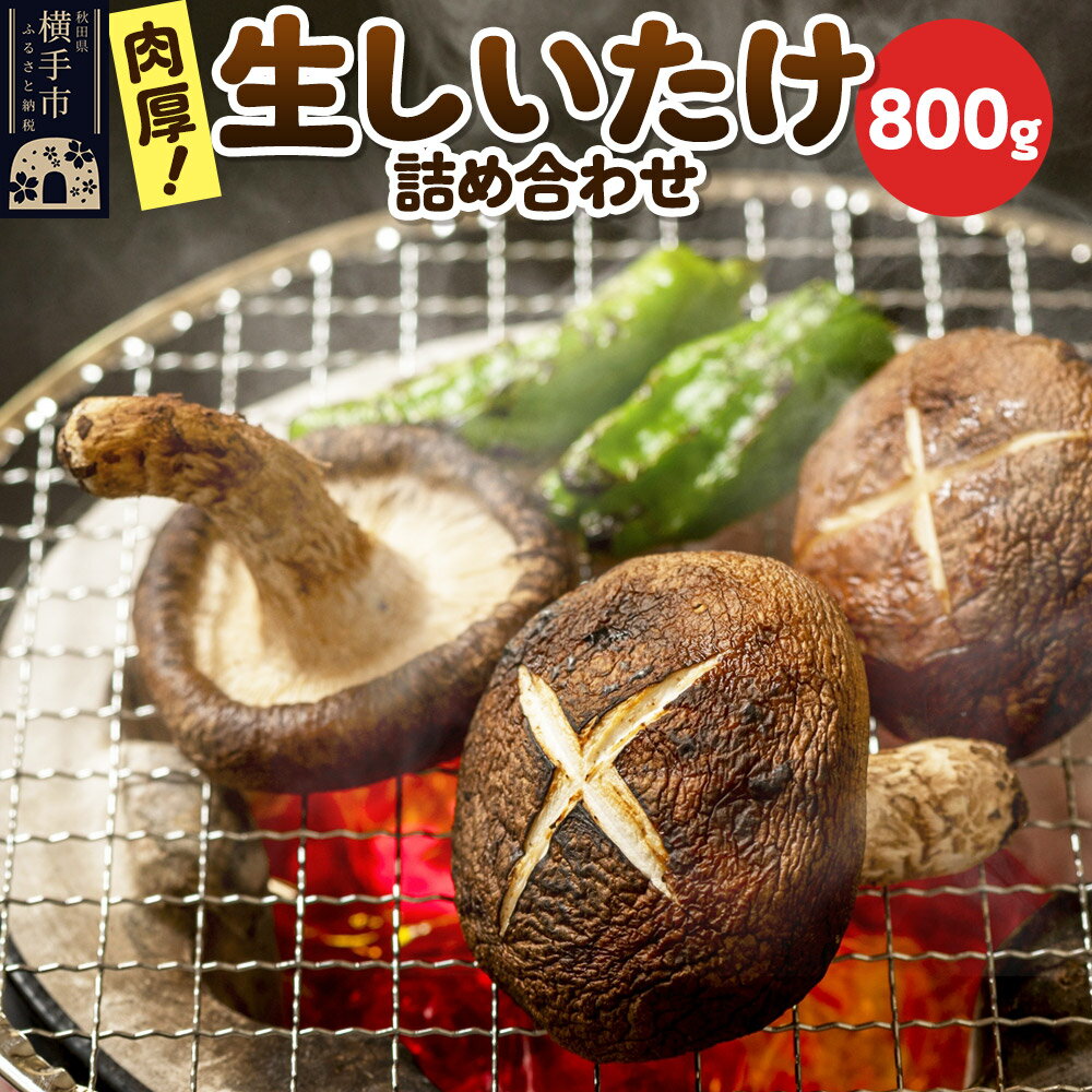 【ふるさと納税】生しいたけ詰め合わせ 800g 秋田新鮮組