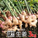 【ふるさと納税】 訳あり 生姜 約3kg 尾崎農園 不揃い 減農薬 しょうが 薬味 野菜 紅茶 ガリ チューハイ おつまみ 健康 国産 愛媛県 愛南町