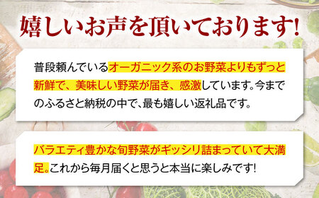 【全3回定期便】 【シェフの目線】　野菜 （6-7種）　少量食べきりセット　 野菜 やさい 少量セット 食べきり[AGBX044]