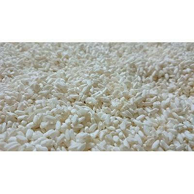 ふるさと納税 加茂市 越後みそ2個セット(特撰・なごみ)計2kg |  | 02