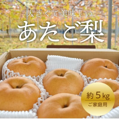 【2026年発送】あたご梨 ご家庭用/約5kg (岡山県産) 愛宕梨好きにはたまらない満足便!