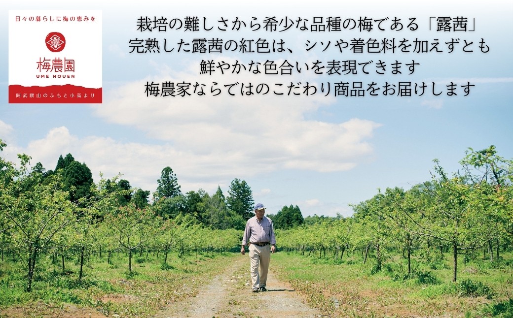 小高の露茜(完熟熟成冷凍梅)　　　1Kg詰め