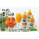 【ふるさと納税】希望の島 みかん ジュース 「丸しぼり果汁」 250ml 6本 飲み比べ | 蜜柑 柑橘 果物 くだもの フルーツ 温州みかん 伊予柑 清見 飲料 ドリンク 美味しい お取り寄せ 人気 おすすめ 愛媛県 松山市