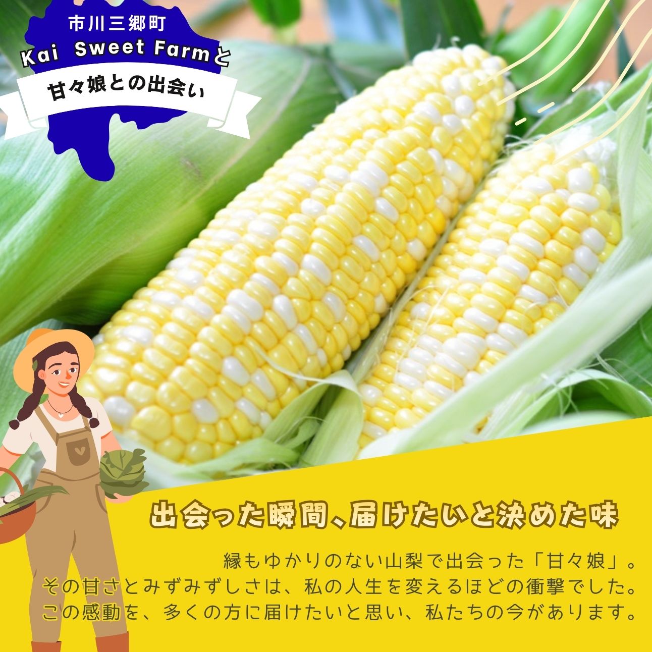 市川三郷町大塚産の甘々娘（とうもろこし）4本入り　2026年6月上旬発送】Kai Sweet Farm[5839-1010]