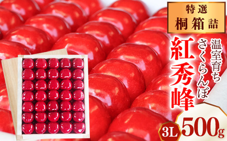 《先行予約》令和8年産 特選 温室育ち さくらんぼ 紅秀峰 3L 特秀品 500g 桐箱詰（発泡スチロール梱包）2026産 山形県産【2026年5月上旬頃～5月中旬頃発送予定】※ 配送不可 沖縄・離島　520-A-MZ008