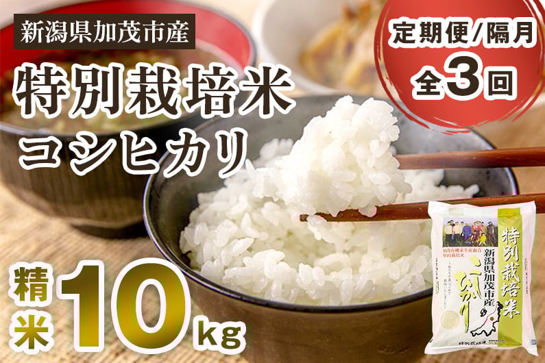 
                  【令和7年産】【定期便3回隔月お届け】特別栽培米 コシヒカリ 精米 10kg（5kg×2）《順次出荷》  白米 従来品種コシヒカリ （株）ライスグローワーズ 新潟県 加茂市産 白米 米 お米 定期便
                