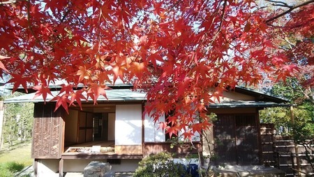 八幡市立松花堂庭園ペアチケット 庭園 美術館 利用券