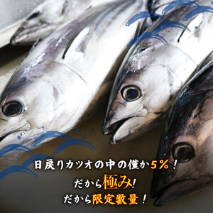 鰹のたたき かつお 2節 鰹