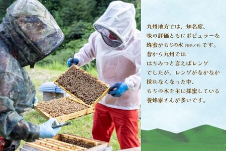 【2か月定期便】みよしの蜂蜜(もちの木)220g×1本【はちみつ もちの木 国産 ミツバチ 甘み スッキリ コク トロトロ】A6-A063317