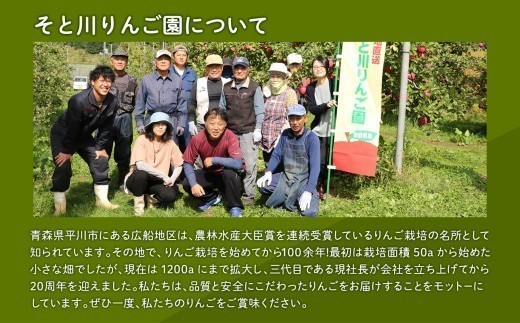 2027年4月発送　贈答用葉とらずサンふじ10kg【青森県 平川市 そと川りんご園】