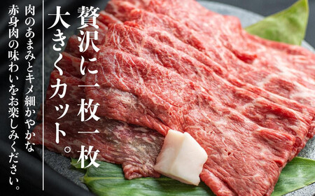 【寄付額見直しました！】飛騨牛 すき焼き ( もも うで ) 1kg | 国産牛 黒毛和牛 和牛 肉 しゃぶしゃぶ ブランド牛 牛 肉 高評価 人気 おすすめ 飛騨高山 丸明 LR005VC13