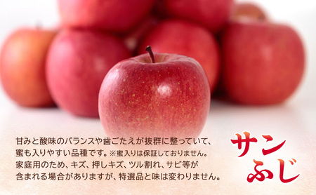 3月クール便発送【糖度13度以上 サンふじ】家庭用 約10kg 26～40玉程度 ASIAGAP認証農場 津軽農園【弘前市産・青森りんご】