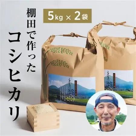 青野山の湧水と朝晩の寒暖差が育んだ棚田の甘～い米「コシヒカリ」(白米5kg×2袋)(令和8年産)【1524992】