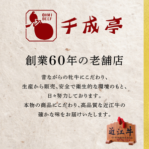 【隔月3回定期便】近江牛すき用肩ロース600g [AL31_X1] 近江牛
