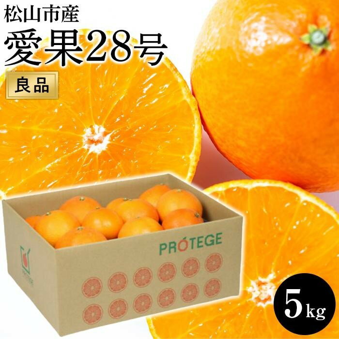 【ふるさと納税】【愛果28号】約5kg（良品）＜2025年11月から順次発送＞ | 先行予約 愛果28号 まどんな 柑橘 みかん 果物 くだもの フルーツ おすすめ 高級 人気 お取り寄せ グルメ ギフト 期間限定 数量限定 ご当地 愛媛県 松山市