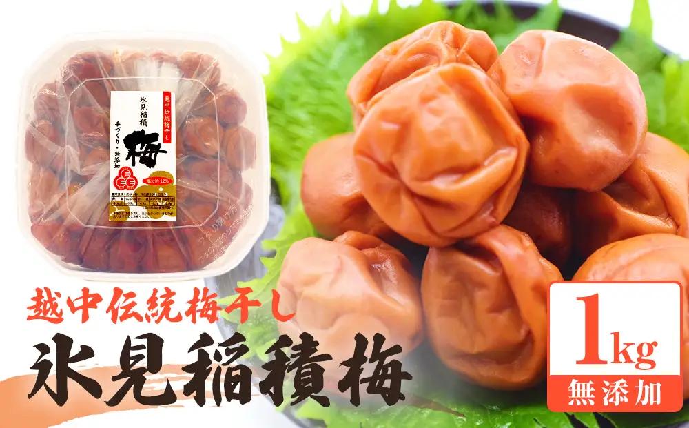 越中伝統梅干し 氷見稲積梅 1kg （塩分約12%）｜富山県固有種 稲積梅 添加物不使用 手作り  