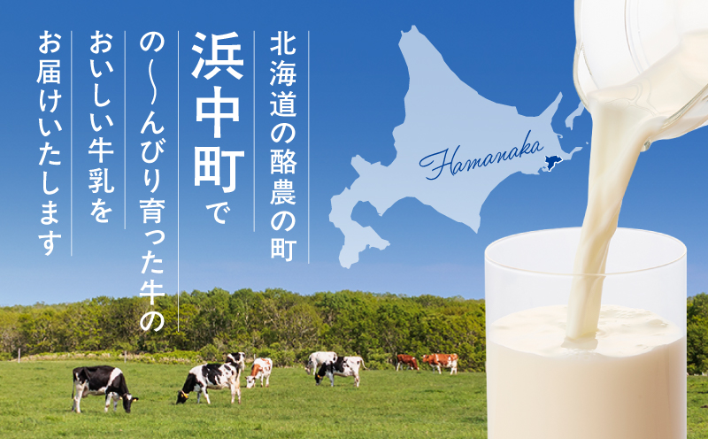 【毎週届く4回定期便】北海道4.0牛乳(1,000ml×2本)_H0026-106