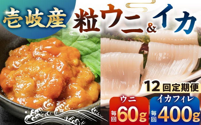【全12回定期便】【冷凍】壱岐産剣先イカフィレ(80g)×5枚 壱岐産粒うに瓶60g×1本 《壱岐市》 【一支國屋】 [JCC019]