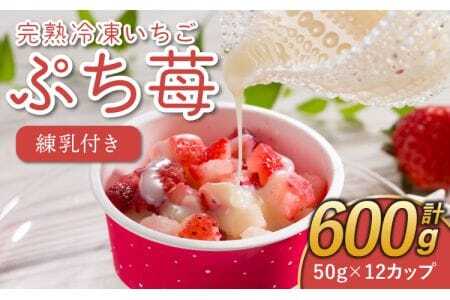 いちご 冷凍 50g×12カップ 合計600g 練乳 完熟 冷凍 いちご 「ぷち苺」 50g×12カップ 合計600g 練乳付き 1本（120g） 園村苺園 熊本県産冷凍いちご 宇城市産冷凍いちご 九州産冷凍いちご 