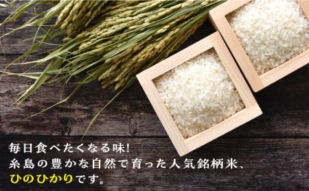 【全3回定期便】糸島産 ひのひかり 5kg × 3回  糸島市 / 三島商店  米 お米 ご飯 白米 ヒノヒカリ ひのひかり 九州 福岡[AIM008]