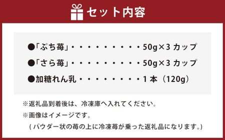 完熟 冷凍 いちご 「ぷち苺」 と 「さら苺」 各3カップ 合計6カップ（300g） 練乳付き  1本（120g） 園村苺園