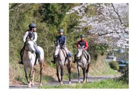 乗馬体験 （ 場内騎乗 & 森林外乗 ) 約 2時間 1名 乗馬 初心者OK 写真撮影付き 馬 アクティビティ 乗馬コース 体験 チケット 関東近辺 首都圏 茨城 里山 自然満喫 観光 旅行 体験ギフト リフレッシュ 茨城県 石岡市 (G02-003)