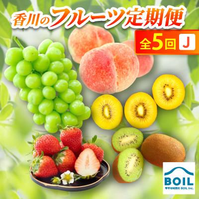 ふるさと納税 香川県 【発送月固定定期便】香川のフルーツ(5J)全5回