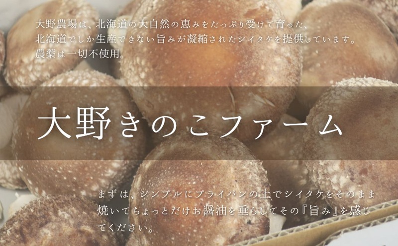 【贈答用】北海道の自然で育った極撰肉厚しいたけ