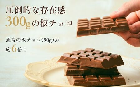 スペシャルミルクチョコレート2枚 | チョコレート 芥川製菓