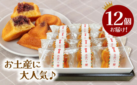 王塚古墳マドレーヌ（12個入り） 桂川町/菓子工房メルシー[ADAJ001]