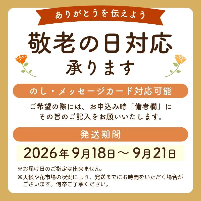 【 敬老の日限定 】 敬老の日ギフト そのまま飾れる フラワーアレンジメント 生花 感謝メッセージカード付・越前和紙 小花一輪付【ギフト  シルバー 花瓶いらず 水替え無  花】 [e51-a011]