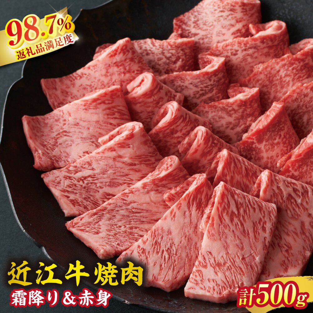 【ふるさと納税】【一週間以内発送】【寛閑観】近江牛焼肉用『霜降り×赤身ミックス』500g（冷蔵） 御中元 お中元