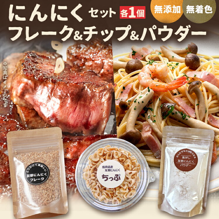 【ふるさと納税】にんにくフレーク にんにくチップ にんにくパウダー にんにく お試し 4000円 セット 友芽にんにく 無添加 無着色 ガーリック スライス チップ パウダー 調味料 炒め物 福岡県 福岡 九州 グルメ お取り寄せ メール便（ポスト投函）