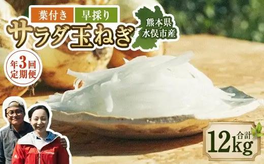 【年3回定期便】【2027年2月上旬発送開始】1年に1度だけ!甘くて柔らかい!早採りサラダ玉ねぎ(優品・サイズ混合)　＜栽培期間中、無農薬・無化学肥料栽培／熊本県水俣市産／耕人舎＞ 玉ねぎ たまねぎ タマネギ 玉葱 野菜 取り寄せ 産地直送