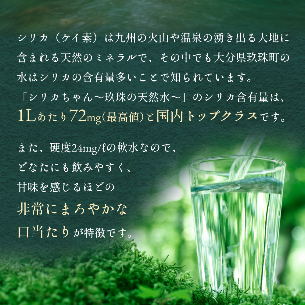 【数量限定】【6ヶ月定期便】天然 水 シリカ 525ml × 40本 ＜