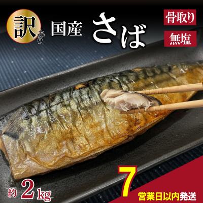 ふるさと納税 下関市 【7営業日以内発送】 訳あり さば 骨取 国産 約2kg MH103